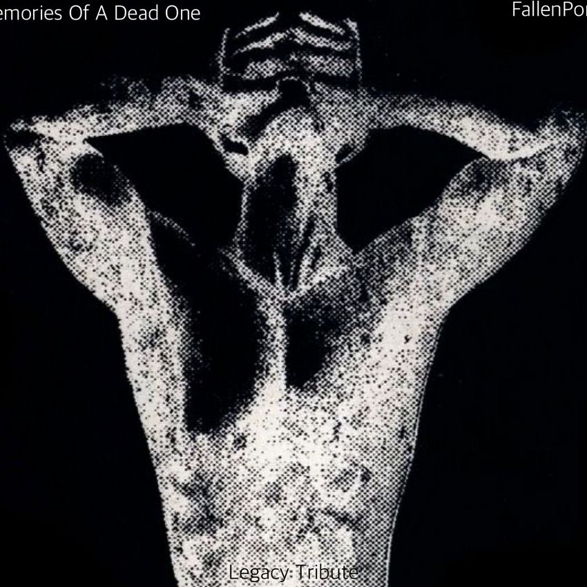 Legacy of Dead : Analyse approfondie du célèbre jeu vidéo de portage